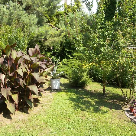 In Fonyod/balaton 18602 Apartment