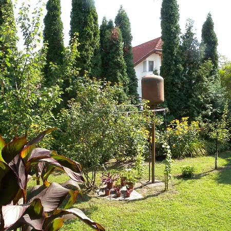 Apartment In Fonyod/balaton 18602 *